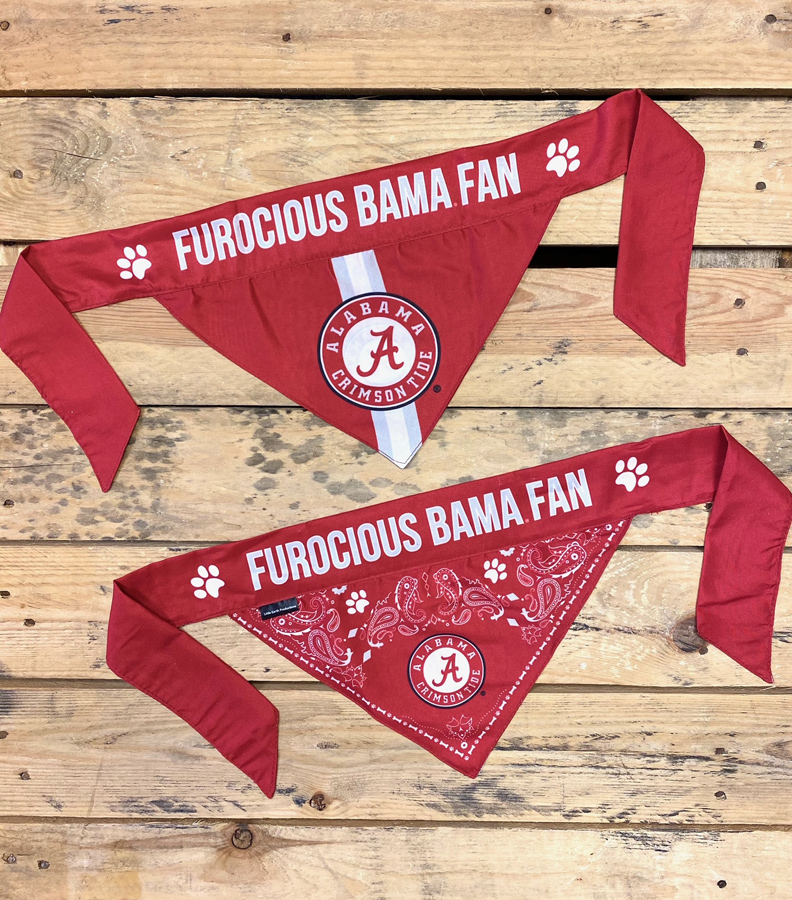 Furocious Seattle Kraken Fan Reversible Pet Bandana - Shop The Kraken