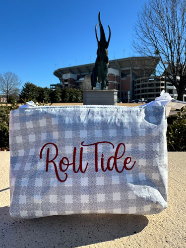 Roll Tide Gingham Tyveck Zipper Pouch