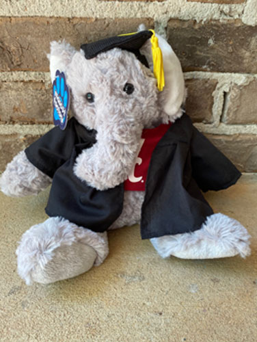 Graduation Elephant