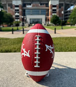 Script A Mini Rubber Football 