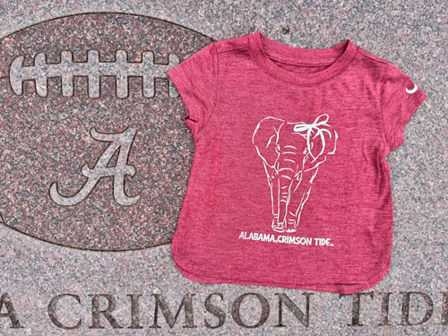 Toddler Walking Elephant Short Sleeve T-Shirt