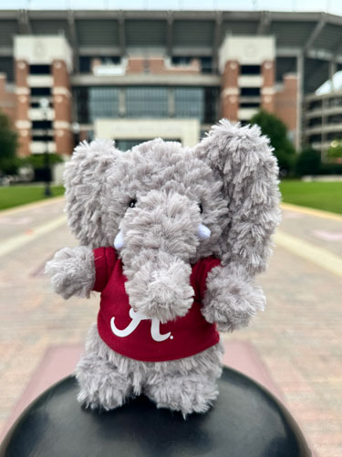 Woolie Elephant with Script A T-Shirt
