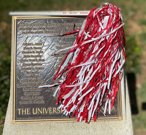 Crimson & White Pom-Pom Shakers