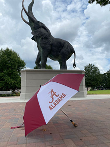 Alabama/Script A Super Oversized Umbrella