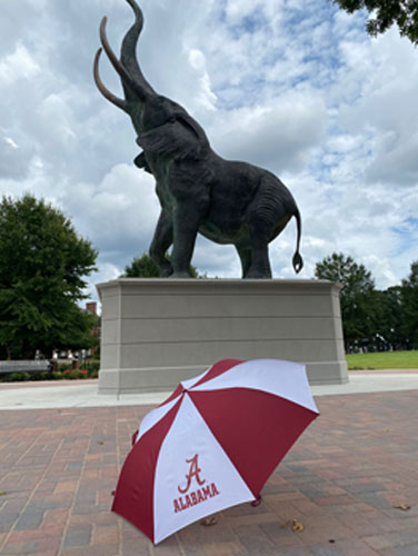 Alabama/Script A Sporty Automatic Umbrella